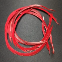 Stripped Goose Biot -JS Fly Fishing 20221027 091520