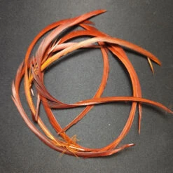 Stripped Goose Biot -JS Fly Fishing 20221027 091607