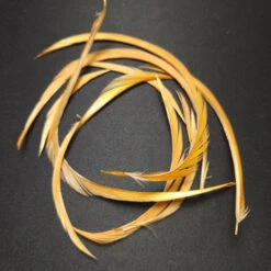 Stripped Goose Biot -JS Fly Fishing 20221027 091735