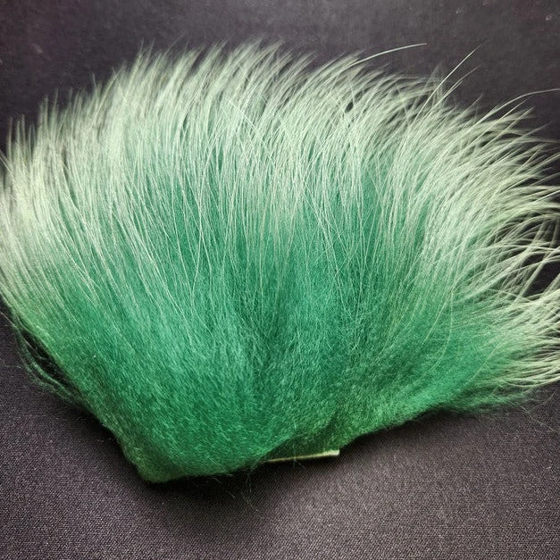 Finn Raccoon 9 Finn Raccoon - Image 7