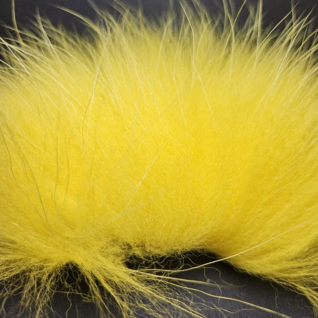 Finn Raccoon 17 Finn Raccoon - Image 15