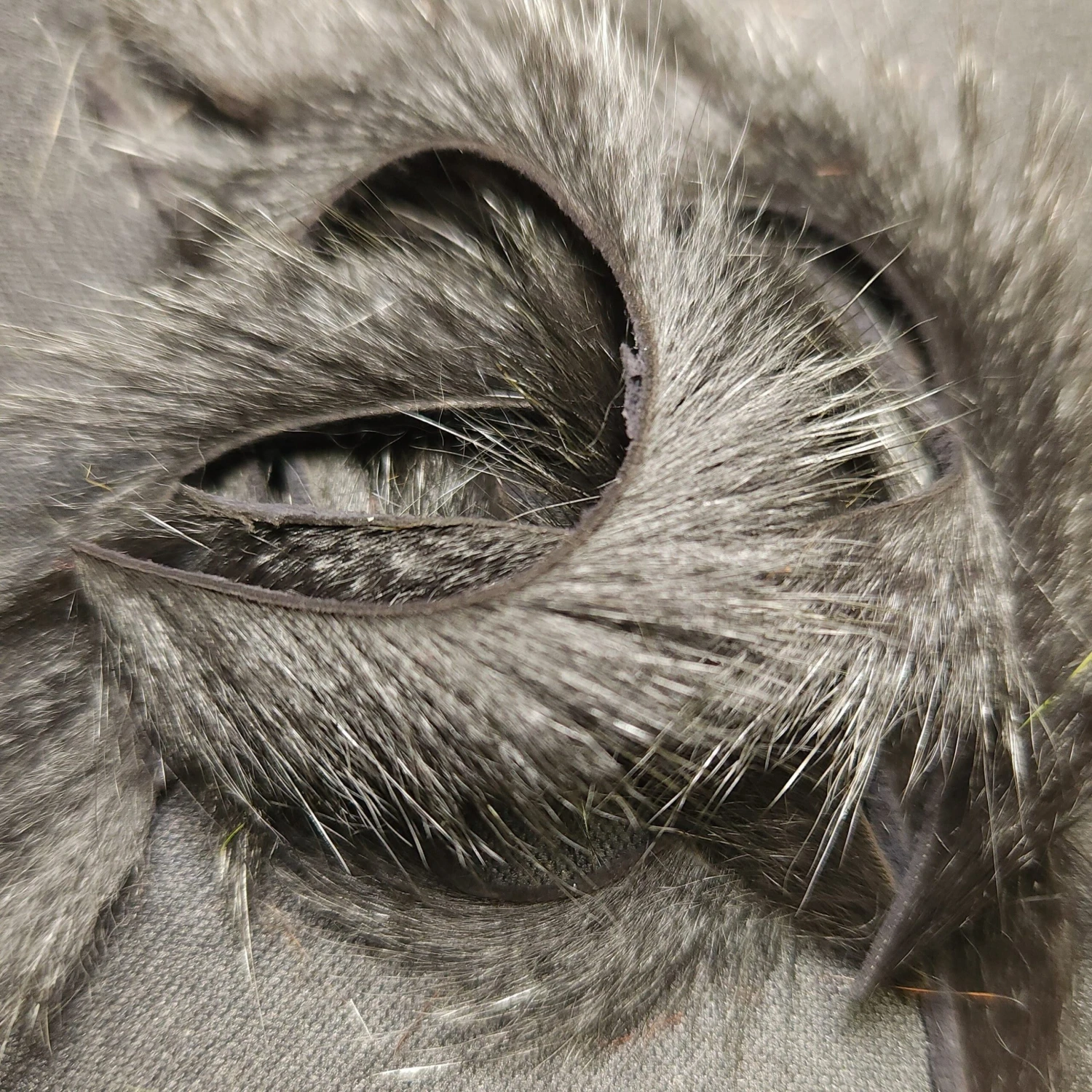 Wapsi Pine Squirrel Strips Micro 1/16" 4 Wapsi Pine Squirrel Strips Micro 1/16" - Image 2