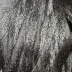 Wapsi Pine Squirrel Skin, Zonked