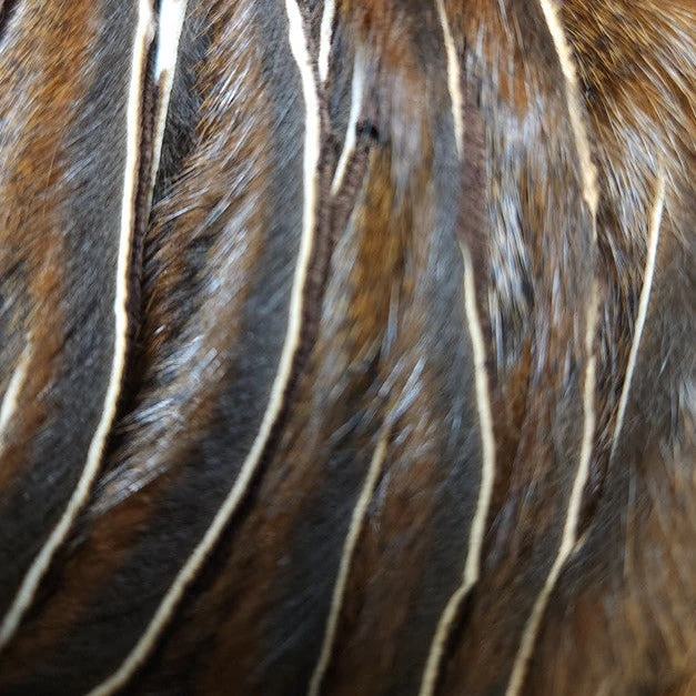 Wapsi Pine Squirrel Skin, Zonked 4 Wapsi Pine Squirrel Skin, Zonked - Image 2