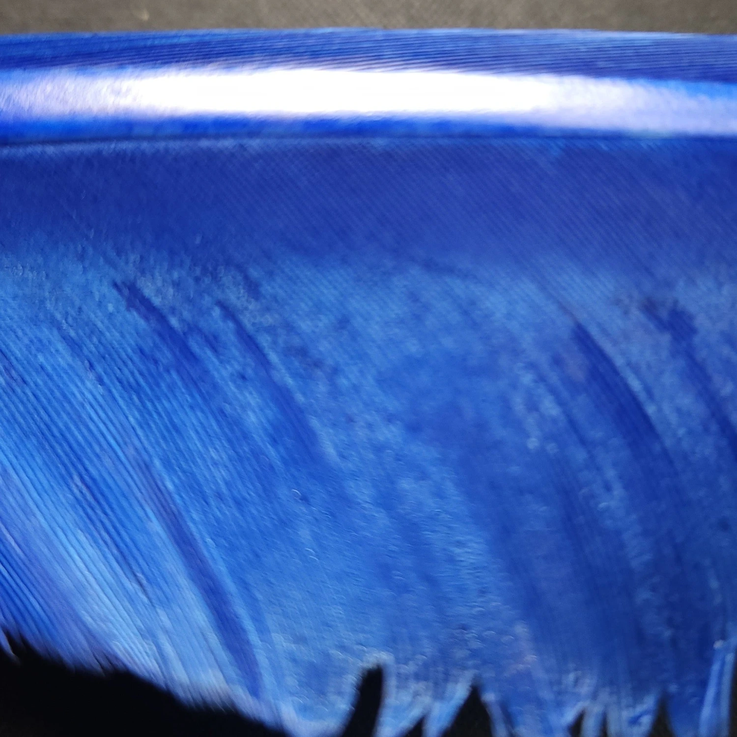 Wapsi Goose Quill Pair 5 Wapsi Goose Quill Pair - Image 3