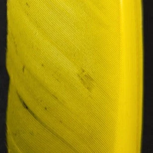 Wapsi Goose Quill Pair 15 Wapsi Goose Quill Pair - Image 13