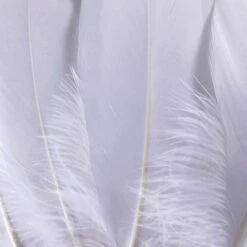 Wapsi Goose Quill Pair 26 Wapsi Goose Quill Pair -JS Fly Fishing 617hfFwnC L