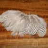 Hareline Strung Silver Pheasant Body Feathers 2 Hareline Strung Silver Pheasant Body Feathers -JS Fly Fishing 7436