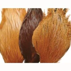 Hen Neck, Grade #1 7 Hen Neck, Grade #1 -JS Fly Fishing 750x 5308