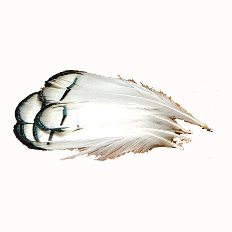 Hareline Lady Amherst Tippet 3 Hareline Lady Amherst Tippet