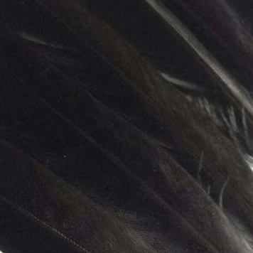 Wapsi Goose Quill Pair 4 Wapsi Goose Quill Pair - Image 2