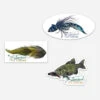 Signature Stickers 3-Pack 1 Signature Stickers 3-Pack -JS Fly Fishing AC 010112 0000