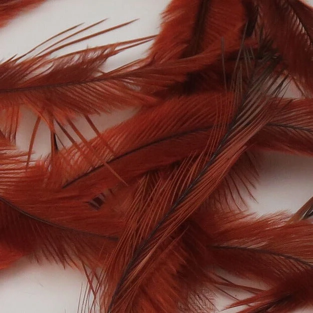 Emu Feathers 8 Emu Feathers - Image 6