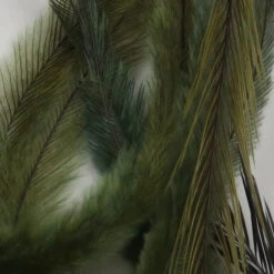 Emu Feathers 17 Emu Feathers -JS Fly Fishing EMU030