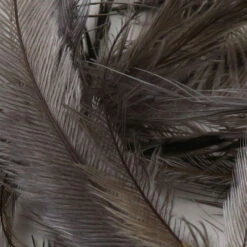 Emu Feathers 16 Emu Feathers -JS Fly Fishing EMU065