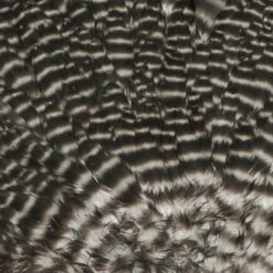 Hareline Hen Saddle -JS Fly Fishing HSAD176