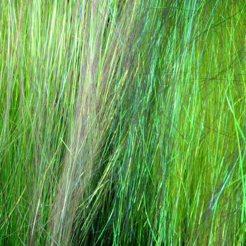 Hareline Ice Dub Minnow Back Shimmer Fringe 9 Hareline Ice Dub Minnow Back Shimmer Fringe - Image 7