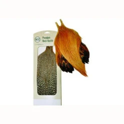 Rooster Neck, Grade #2