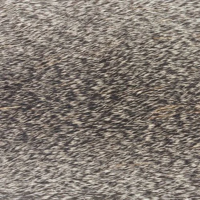 Stimulator Deer Hair 7 Stimulator Deer Hair - Image 5