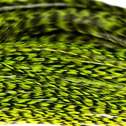 Hareline Half Grizzly Saddle 20 Hareline Half Grizzly Saddle -JS Fly Fishing NM 790037 CHAT