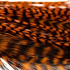 Hareline Half Grizzly Saddle 23 Hareline Half Grizzly Saddle -JS Fly Fishing NM 790037 ORNG