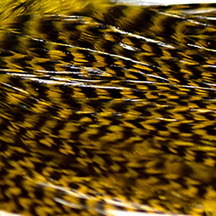 Hareline Half Grizzly Saddle 5 Hareline Half Grizzly Saddle - Image 3