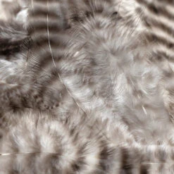 Hareline Grizzly Soft Hackle -JS Fly Fishing NM 790075 NATL