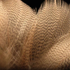 Hareline Mallard Flank Feathers -JS Fly Fishing NM 790145 0000 9