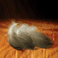 Hareline Gadwall Feathers
