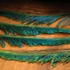 Hareline Peacock Swords -JS Fly Fishing NM 790240 0000