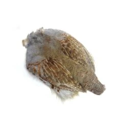 Hareline Hungarian Partridge Skin - Grade #1