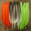Duck Quills 1 Duck Quills -JS Fly Fishing NM 791155 0000