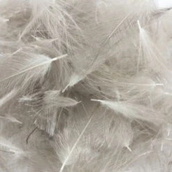 Duck Cul De Canard 34 Duck Cul De Canard -JS Fly Fishing Natures Spirit Duck CDC Natural Mallard