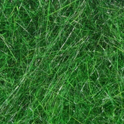 Hareline Hare's Ear Plus Dubbing -JS Fly Fishing SM 012060 INGR