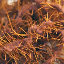 Creeper Chenille 23 Creeper Chenille -JS Fly Fishing SM 700380 BRWN