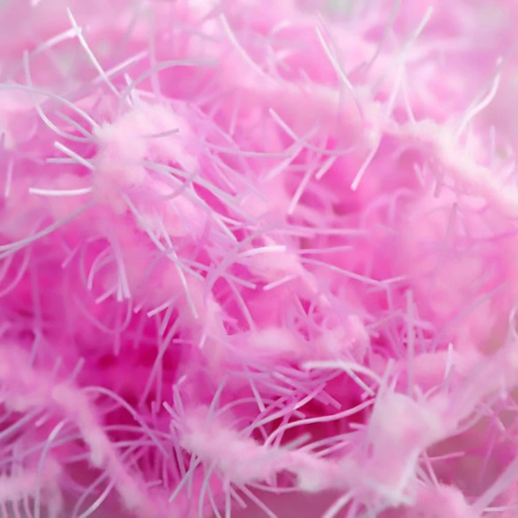 Creeper Chenille 13 Creeper Chenille - Image 11