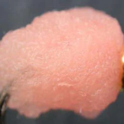 Eggstasy NX-GEN Fibre 36 Eggstasy NX-GEN Fibre -JS Fly Fishing SM 750175 PISA