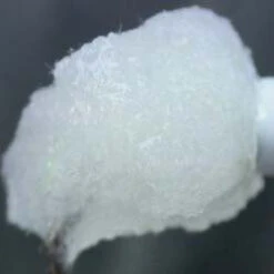 Eggstasy NX-GEN Fibre 39 Eggstasy NX-GEN Fibre -JS Fly Fishing SM 750175 UVWH