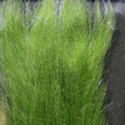 Polar Fiber Brush -JS Fly Fishing SM 759952 0OLI