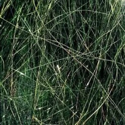 Angel Hair 33 Angel Hair -JS Fly Fishing SM 760025 BAIT