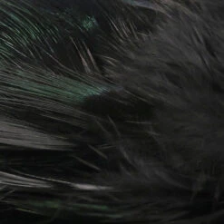 Hareline Strung Ringneck Rump Feathers 11 Hareline Strung Ringneck Rump Feathers -JS Fly Fishing SRR11