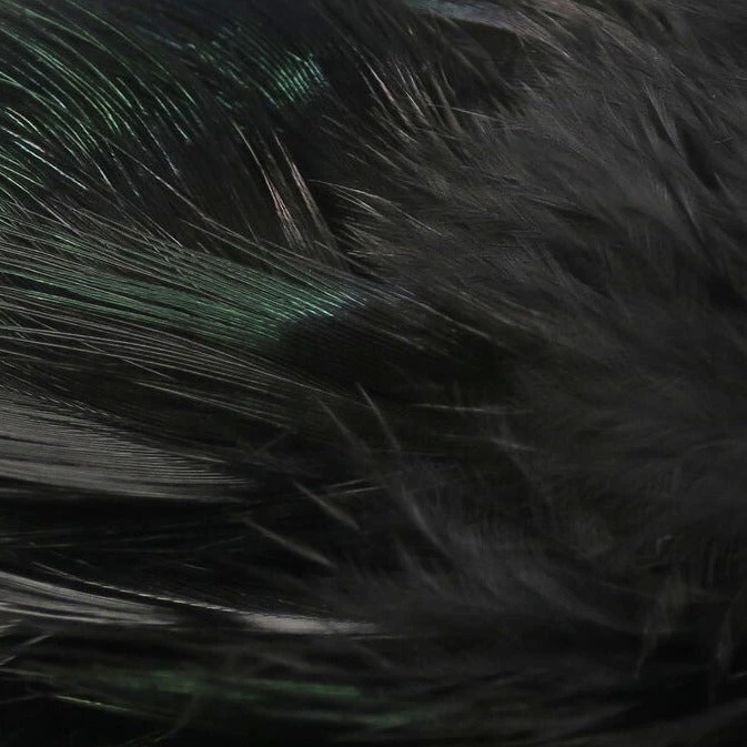 Hareline Strung Ringneck Rump Feathers 4 Hareline Strung Ringneck Rump Feathers - Image 2