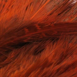 Hareline Strung Ringneck Rump Feathers 14 Hareline Strung Ringneck Rump Feathers -JS Fly Fishing SRR271