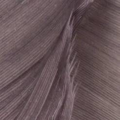 Hareline Turkey Biot Quills -JS Fly Fishing TBQ165