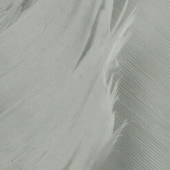 Hareline Turkey Biot Quills -JS Fly Fishing TBQ168