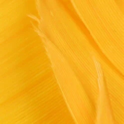 Hareline Turkey Biot Quills -JS Fly Fishing TBQ365