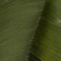 Hareline Turkey Biot Quills -JS Fly Fishing TBQ95