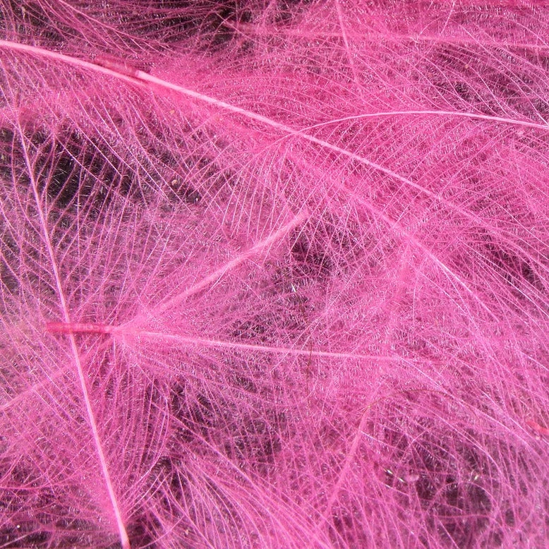 Hareline Cul De Canard Feathers 5 Hareline Cul De Canard Feathers - Image 3