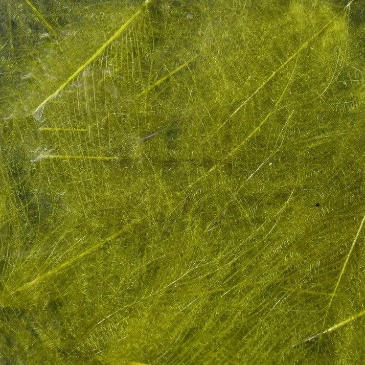 Hareline Cul De Canard Feathers 8 Hareline Cul De Canard Feathers - Image 6