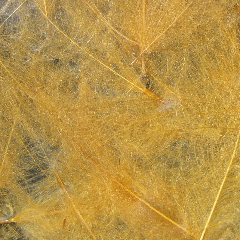 Hareline Cul De Canard Feathers 11 Hareline Cul De Canard Feathers - Image 9